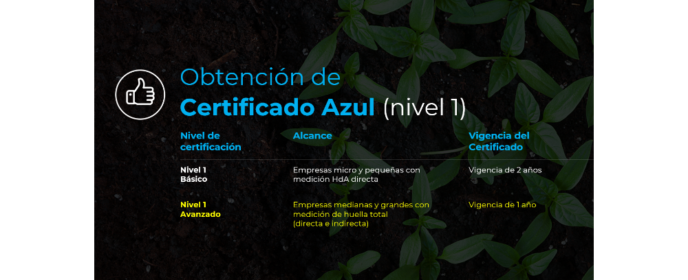 certificado_azul_1